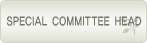 special committee head